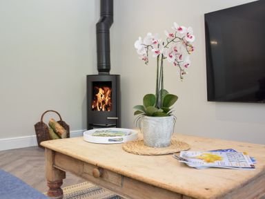 A wooden coffee table with a white orchid plant a tray and magazines in front of a wood-burning stove and a mounted television at The Piglets in Newbourne Near Woodbridge