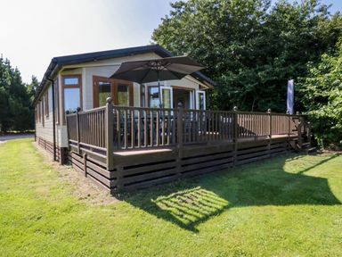 A wooden deck with table umbrella and chairs outside a house surrounded by grass and trees at The Hide Out Aldeburgh