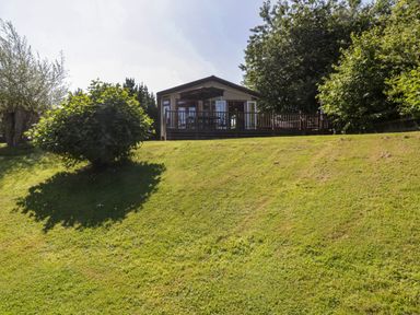 A wooden cabin with a deck and umbrella on a grassy hill surrounded by trees at The Hide Out in Aldeburgh