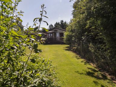 A lawn with bushes on the left and trees on the right leading to a house with a wooden deck at The Hide Out in Aldeburgh