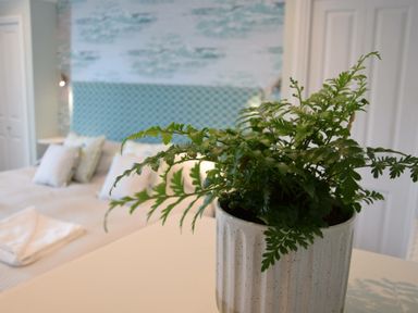 A potted plant on a table in a bedroom with a bed and pillows at Regatta Lookout in Aldeburgh