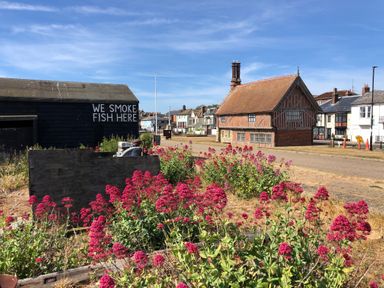 Red flowers in front of a black building with a sign that says we smoke fish here and a half timbered house in the background at Tamarisk Aldeburgh in Aldeburgh