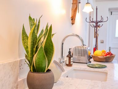 A kitchen countertop with a potted plant a faucet a soap dispenser a toaster and a bowl of fruit at The Bothy at Snape Hall in Snape Suffolk