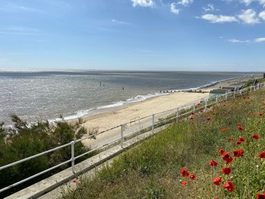 A beach with sand and water next to a grassy area with red flowers and a white railing at St Marys View Southwold