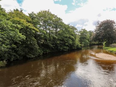 A river with trees on both sides and a small sandy bank at Bluebell Retreat in Lostwithiel