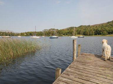 A wooden dock extending into a lake with a dog standing at the edge and boats in the water at 8 Woodlands in Water Yeat Coniston Water