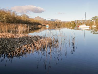 A lake with reeds and sailboats with trees and mountains in the background at 8 Woodlands in Water Yeat Coniston Water