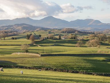 Green fields with stone walls and sheep with hills and mountains in the background at 8 Woodlands in Water Yeat Coniston Water