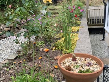 A garden with various flowers and a plant pot at Rose Cottage in Okehampton
