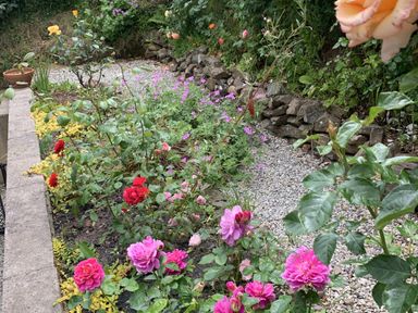 A garden with colorful flowers and a gravel path at Rose Cottage Okehampton