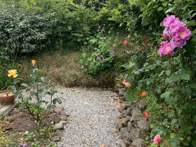 A garden with a gravel path and various flowers at Rose Cottage in Okehampton
