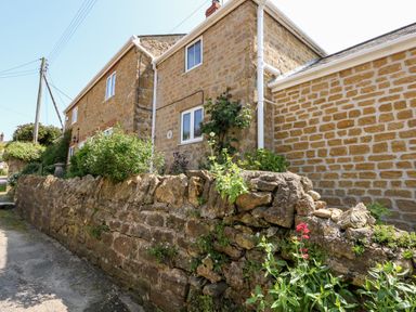 A stone cottage with white framed windows and a stone wall with plants at Tiddlers Cottage Uploders near Bridport