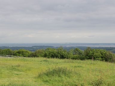 A grassy field with bushes and trees overlooking a distant bridge and body of water at Bottom Lodge in Penhow