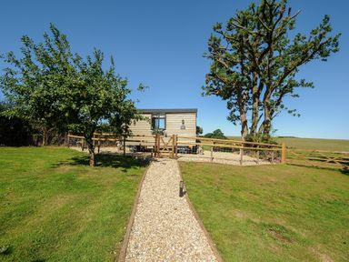 A gravel path leading to a wooden cabin with fenced garden and two trees at Orchard Retreat in East Worlington near Witheridge