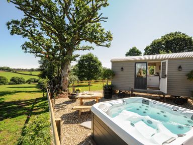 A hot tub and picnic table next to a small wooden cabin in a fenced outdoor area with trees at Orchard Retreat in East Worlington near Witheridge