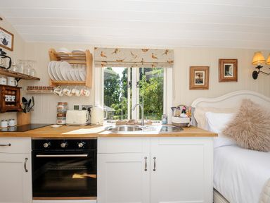 A small kitchen area with oven sink dishes and a bed with cushions in a studio setup at Orchard Retreat East Worlington near Witheridge