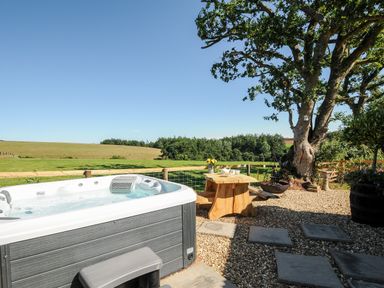 An outdoor area with a hot tub wooden table and benches near a tree and open fields at Orchard Retreat in East Worlington near Witheridge