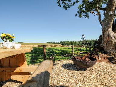An outdoor seating area with a wooden bench and table with a teapot and flowers and a fire pit near a large tree at Orchard Retreat in East Worlington near Witheridge