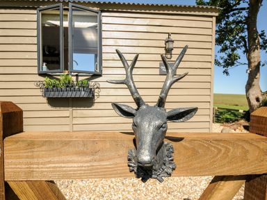 A metal deer head mounted on a wooden gate in front of a beige wooden building with an open window and flower box at Orchard Retreat in East Worlington near Witheridge