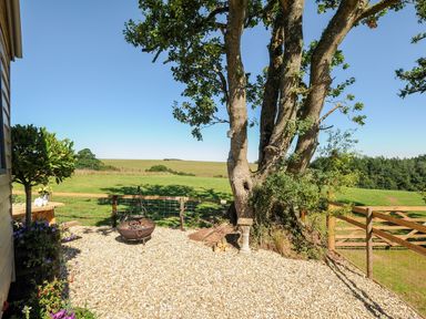 An outdoor area with a fire pit tree wooden fence and grass fields at Orchard Retreat in East Worlington near Witheridge