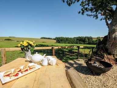 A wooden table with tea set sandwiches and flowers beside a fenced field and fire pit at Orchard Retreat in East Worlington near Witheridge