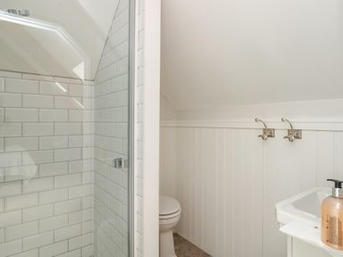 A bathroom with a glass shower enclosure a toilet and a sink with a soap dispenser at The Old Chapel in Dittisham