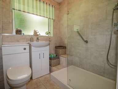 A bathroom with a toilet sink vanity and a walk in shower with grab bars at Woodside in Rosecraddoc near St Cleer