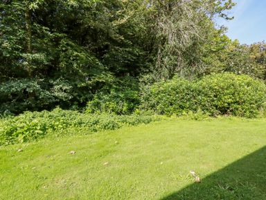 A grassy lawn area bordered by dense green shrubs and trees at Woodside in Rosecraddoc near St Cleer