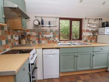 A kitchen with green cabinets a white dishwasher a sink and a window showing greenery at Ceunant near Newport