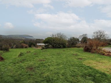 A grassy field with scattered bushes and trees under a cloudy sky near Newport