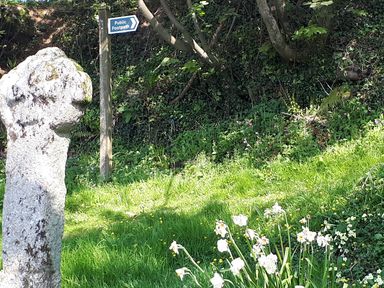 A public footpath signpost next to a stone marker surrounded by grass and flowers on a wooded path