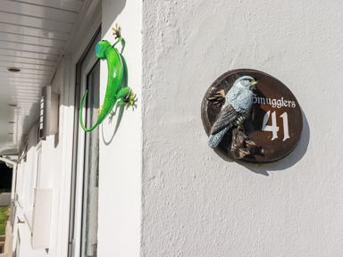 A white wall with a door and a green lizard decoration next to a circular plaque with a bird and the number 41 at Smugglers in Liskeard near St Cleer
