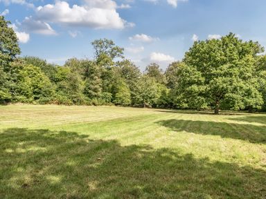 An open field with trees in the background at The Annex in Wimborne Minster