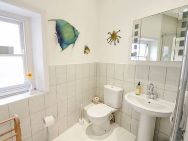 A bathroom with a toilet sink wall mirror and fish decorations on the wall at Naunton Cottage Lyme Regis