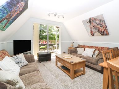 A living room with two sofas a wooden coffee table a television and paintings of animals at 17 Valley Lodges in Gunnislake
