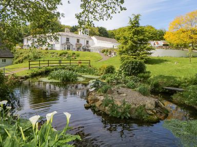 A pond with plants and a small island in a garden with a white building and trees at 17 Valley Lodges in Gunnislake