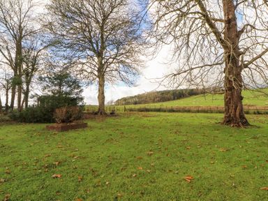 A grassy garden area with two large leafless trees and a bushy plant bed with fields and hills in the background at Old School Muncaster House Ravenglass near Holmrook