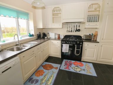 A kitchen with white cabinets black stove double sink and seafood themed rugs at North Studdock Cottage in Angle near Pembroke
