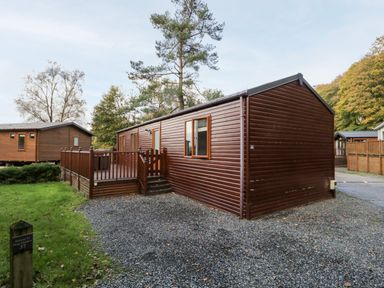 A brown wooden cabin with a fenced deck and gravel driveway surrounded by trees at Wansfell Lodge Pony Meadow 36 White Cross Bay near Windermere