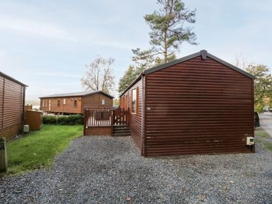 Two brown wooden lodges with gravel and grass areas surrounded by trees at Wansfell Lodge in Pony Meadow 36 White Cross Bay near Windermere