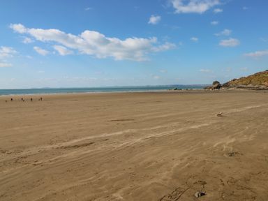 A sandy beach with people and a dog near the shoreline at Oyster Lodge in Broad Haven