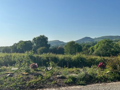 A garden with plants and flowers with trees and hills in the background at Owlbury Hall Barn in Snead near Bishop's Castle Montgomery