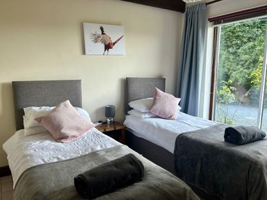 A bedroom with two single beds with gray headboards and pink cushions with a bedside table and lamp and a large window showing greenery at Owlbury Hall Barn in Snead near Bishop's Castle Montgomery