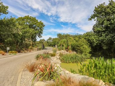 A road with plants and trees alongside a small pond at Fairview Lodge in Pwllheli
