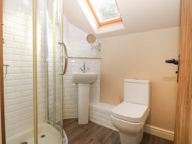 A bathroom with a shower cubicle pedestal sink toilet and skylight window at Tyn Llwyn in Eisingrug near Harlech