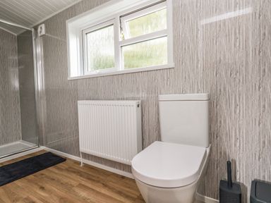A bathroom with a white toilet a radiator a black toilet brush and a shower area at Cliff Barn in Burton Bradstock