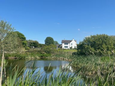 Property photo 38 of 41