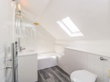 A bathroom with a toilet sink bathtub skylight and heated towel rail at Alcombe House in Minehead