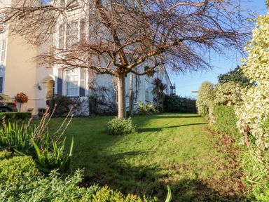 A garden with a leafless tree and trimmed hedges beside a building at Alcombe House in Minehead