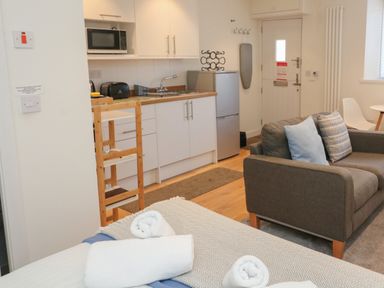 A studio apartment with a kitchen area a grey sofa and a bed with rolled towels at The Mew in Dartmouth